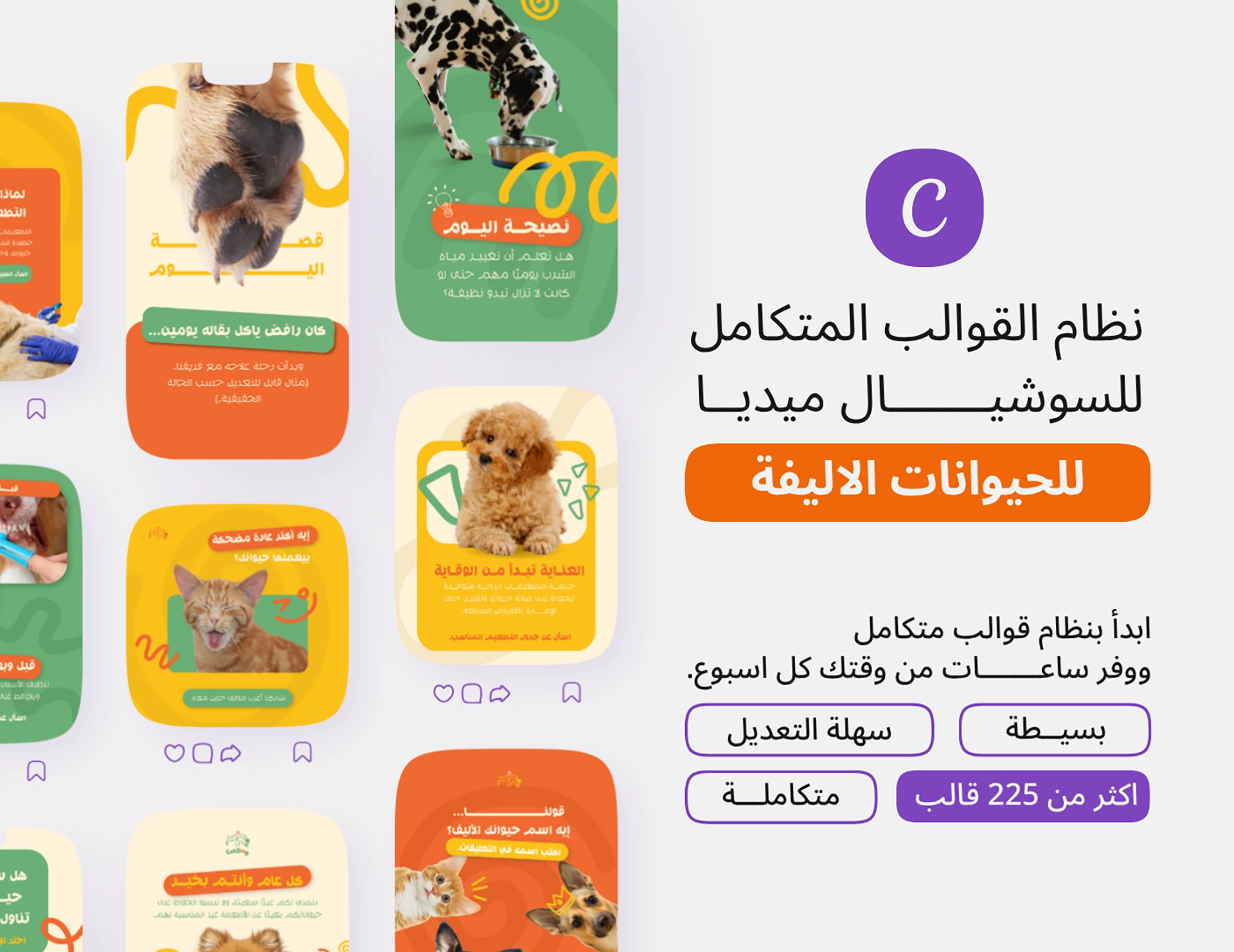 قوالب سوشيال ميديا لعيادة بيطرية